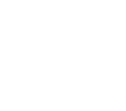 Roblox Assets
